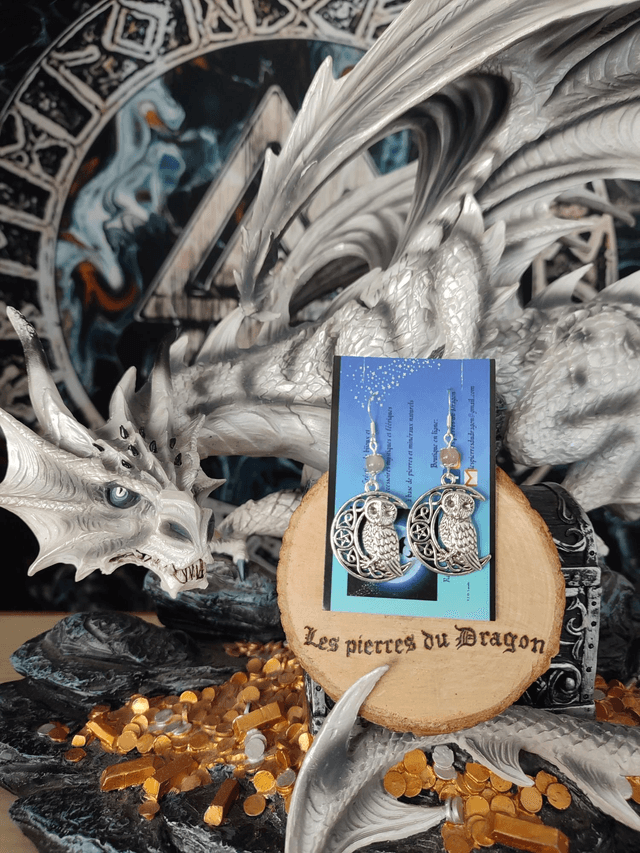 Boucles d'oreilles familier magique